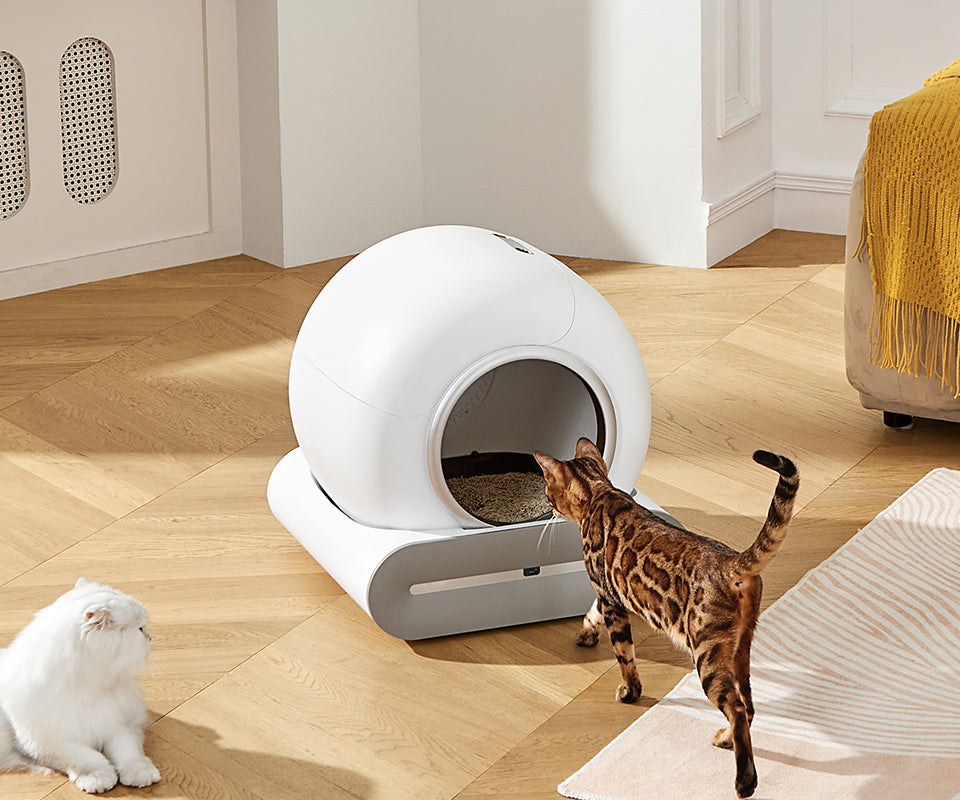 Smart self cleaning litter EU